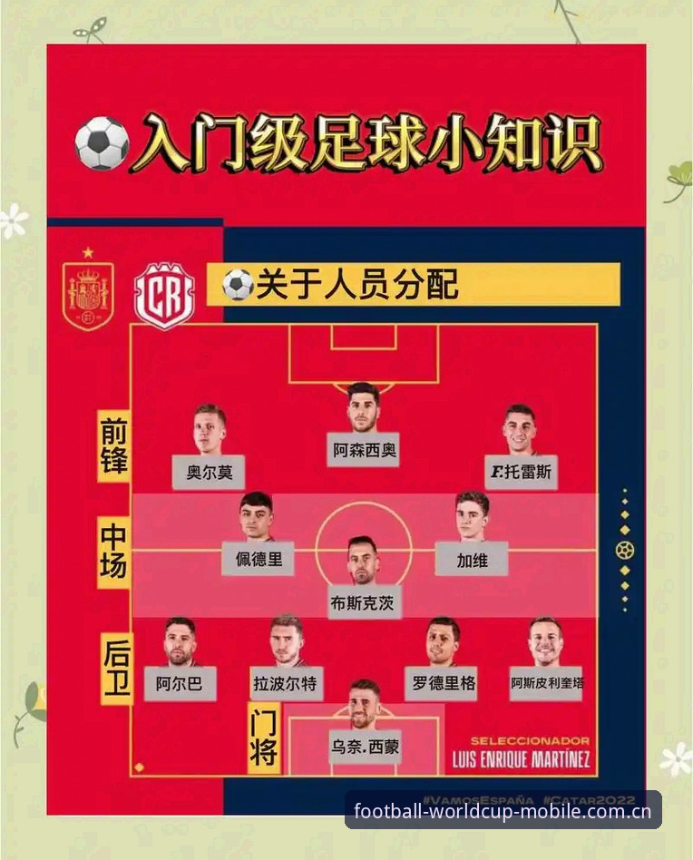 世界杯体育投注体验 世界杯体育投注体验操作教程:从安装到实战的完整指南